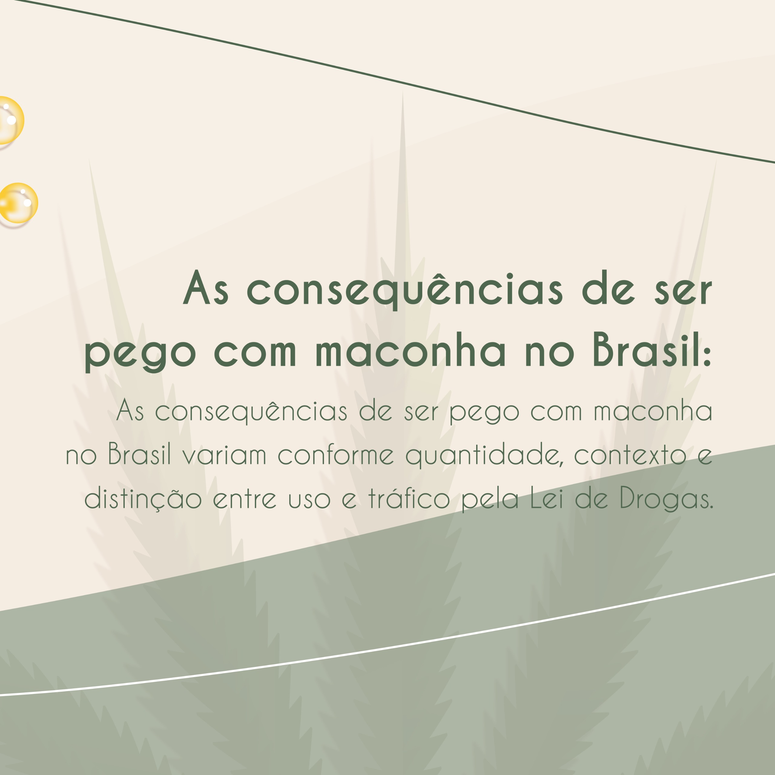 Descriminalização_da_maconha_foi_liberado_para_venda_e_uso_4.jpeg