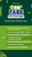 ECOFABEPROGRAMAcO2